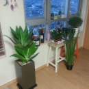 양재시장 이미지