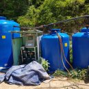 관수야관수 이미지