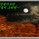 0260729(수) 외래진료(동자승과 다람쥐) 이미지