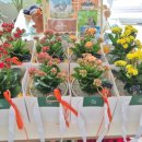 행복flowershop