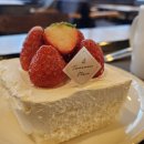 투썸플레이스 양주옥정점 | 투썸플레이스 양주옥정점 화이트 스초생