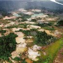 브라질 불법 금광 개발업자 급증..삼림 파괴·원주민 생존 위협 이미지