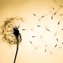 달빛주막 이미지