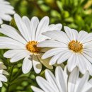 헬스모닝 이미지