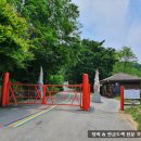 도예자동차공업사 이미지