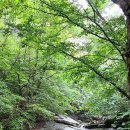 안성리-10 이미지