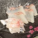 사계참치
