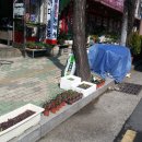 제일농약종묘사 이미지