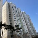 풍기동 447 이미지