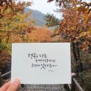 초월캘리 | 캘리그라피 수업, 손글씨로 만난 힐링 시간, 글씨 교정과 감성 사진 제작 후기 (초월캘리공방)