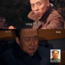 서프라이즈