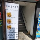 독 블레스 유 | 중랑구 애견카페 추천 :: 강아지 없이도 입장 할 수 있는 독블레스유 방문 후기!