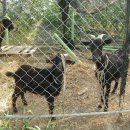 김선영농장 이미지