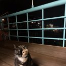 해바다민박 이미지