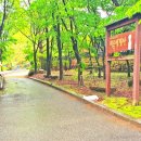 미륵리사지길 이미지