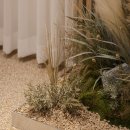 미르365한의원 이미지