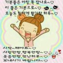 오늘도행복한스푼 Daum카페