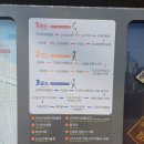 군산 가볼만한곳 일본식 사찰 월명산 동국사