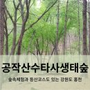 [블랙야크100대2023년9월2일 토요일]홍천 공작산 [암봉과 노송이 한폭 동양화 산행] 이미지