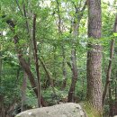 꿈속에서 이미지