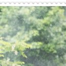 시흥은계한방병원 이미지