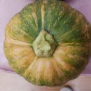 선산이용소 이미지