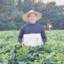 서산이조한과
