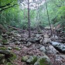 옥녀탕유원지 이미지