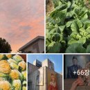 발효과학 김치, 발효 nanofood 정수. 김장철 김치 담그고 세잔 갤러리 즐기는 품격 있는 주말. 나노식품 영양전달체 창시자 김동명 이미지