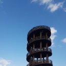 시흥 갯골생태공원 이미지