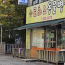 로하스 동물병원 이미지