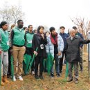 새마을 태양광발전소 이미지