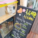 홍루이젠지산범물점