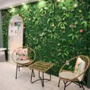 숲속세신 이미지