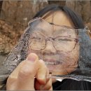 자연속으로 이미지