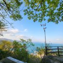 여수밤바다 힐링파크 호스텔 | 한옥마을·숲·바다·액티비티까지 한번에 되는 전라 여행 코스 추천 (커플·친구·워크샵)