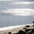 햇빛부서지는바다 이미지