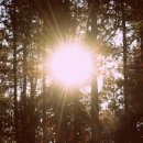 하늘태양광발전소 이미지