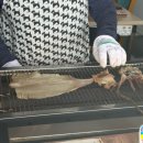 진석수산 | 여름 끝