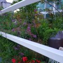 라온뜨락 이미지