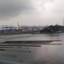 스타벅스 거제대로DT점 이미지