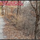 홍성읍 옥암3리마을회관 이미지