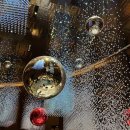 티주니어 | 그랜드 인터컨티넨탈 파르나스] 그랜드 스위트vs주니어 스위트 클럽라운지 애프터눈 티 호캉스 이용후기