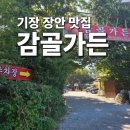 감골 | 기장 장안 맛집 감골가든 계곡 솔직후기 애견동반 가능한 곳