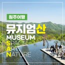 원주여행, 뮤지엄산(SAN)