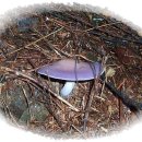 수자원공사입구 이미지