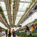 경남은광학교 이미지