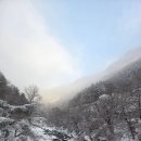 달빛풍경 | [겨울여행] 2026년 새해맞이 달빛풍경펜션 겨울풍경