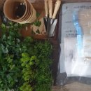 경상중학교 이미지