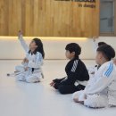 바른체육관 이미지